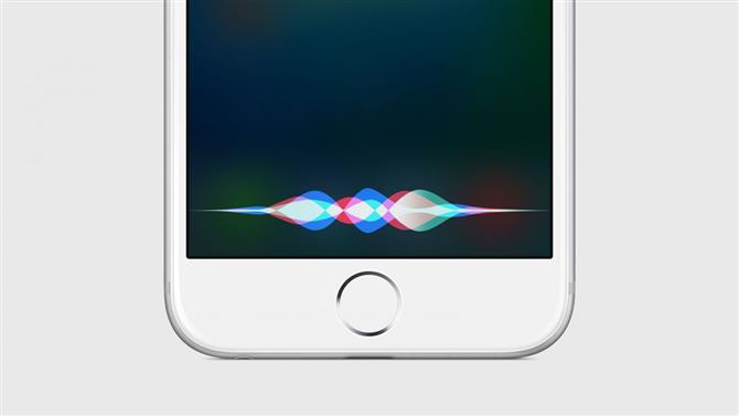 How to turn off Siri in iOS on your iPhone and iPad